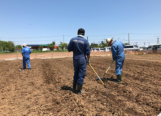 solution01 栽培試験