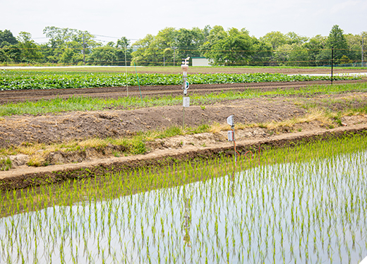 solution03 センサーによるデータ集積・活用