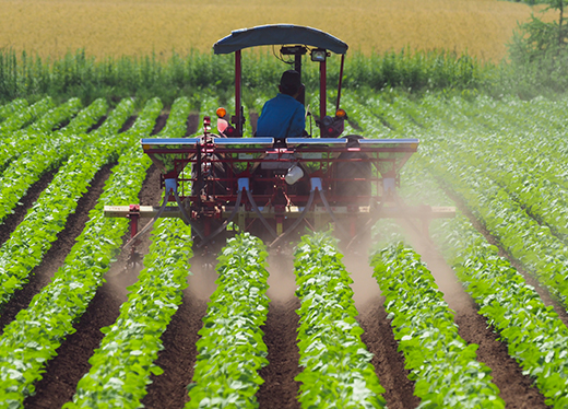 supply01 農業用薬品