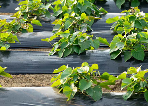 supply02 農業用資材