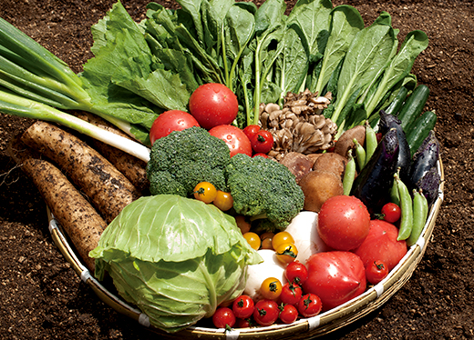 support03 農産物販売