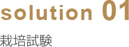 solution01 栽培試験